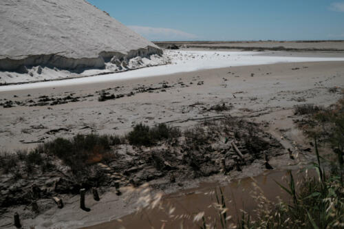 SALINS DE GIRAUD, 2025